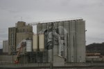Ardent Mills silos mural project, #4965