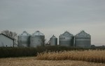 Farm site, #4886 bins near Delhi, MN