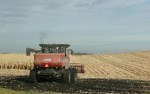 Farming, #4805 Case combine in cornfield