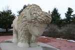 Mankato Poetry Walk, #4952 buffalo at Reconciliation&nbsp;Park