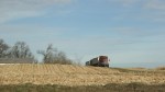 SW MN, #4803 grain truck on hill near Redwood Falls