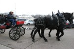 Christmas Walk, #5144 horses up&nbsp;close
