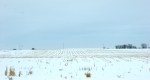 Rural landscape, #6038 CR 15 snowy&nbsp;fields