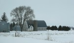 Rural landscapes, #6043 barn & bin along CR&nbsp;15