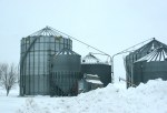 Rural MN, #5779 grain&nbsp;bins