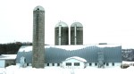 Rural Wisconsin, #6238 long white barn & 3 silos