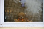 Teddy bear in window close-up, #6739 Faribault MN
