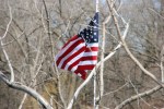 Minnesota outdoors, #6952 American flag by&nbsp;lake