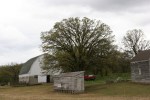 Country drive, #7282 farm site with barn & corn&nbsp;crip