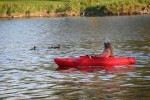 N. Alexander Park, #7613 kayaker watching duck&nbsp;family