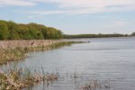 Rice Lake State Park, #7413 lake & land view&nbsp;2