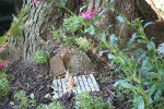 Atwood, #9022 fairy garden