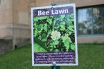 Garden, #9797 bee lawn&nbsp;sign