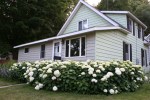 Hydrangea by house,&nbsp;#9078