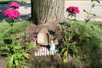Mini garden art, #9008 rabbit by&nbsp;phlox