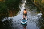 Nature, #8995 paddleboarder on Wingra&nbsp;Creek