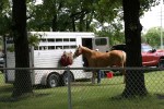 Park, #9645 horse &&nbsp;trailer