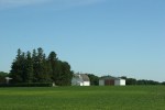 Rural sw MN, #8705 field & white&nbsp;barn