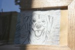 Ag art, #9935 Buddy the dog portrait by Tyler&nbsp;Fromm