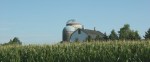 Montgomery, #9915 barn, silo,&nbsp;cornfield