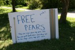 Pears, #372 sign