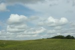 Tour, #647 rural Rice County&nbsp;landscape