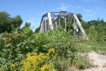 Waterford bridge, #412 weeds & bridge