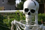 Atwood, #1004 skeleton in Atwood Community Gardens