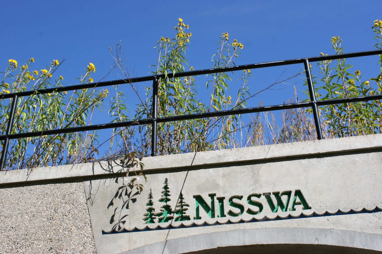 Nisswa Lake Park delivers, with a bonus surprise Minnesota Prairie Roots